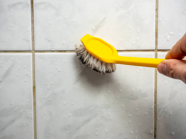 Home Mold Removal in Woodlawn, VA