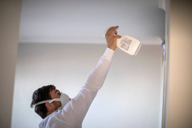 Best Mold Removal Company Near Me  in Woodlawn, VA