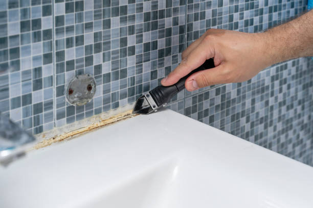 Best Home Mold Removal  in Woodlawn, VA