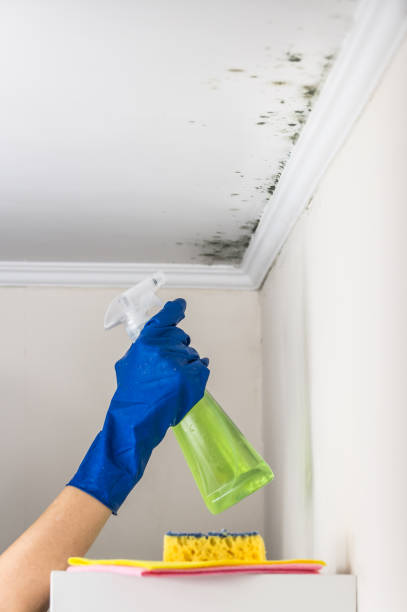 Best Mold Testing  in Woodlawn, VA